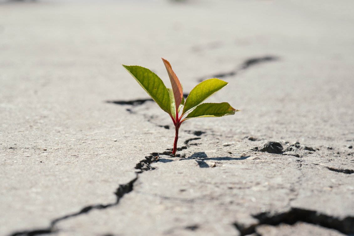 62448c65f2a3dc7d20_272127013