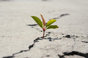 62448c65f2a3dc7d20_272127013