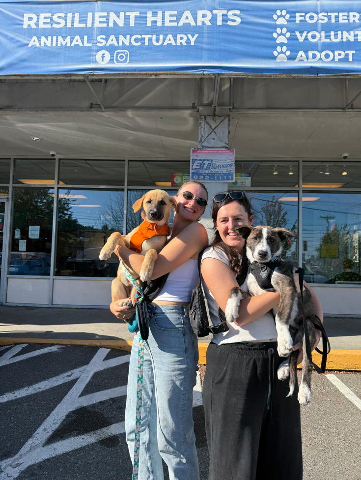 68acbd95b430cf5de7b7b7a0_sj