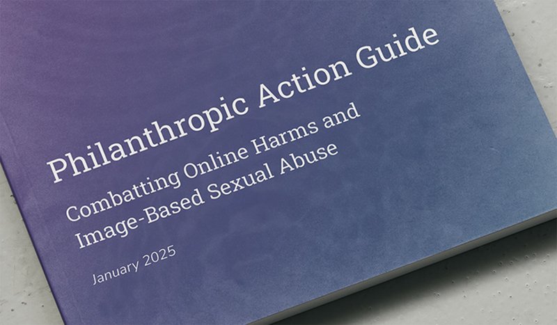 articlehero phil action guide 202504