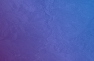 next-phase-panorama-hero