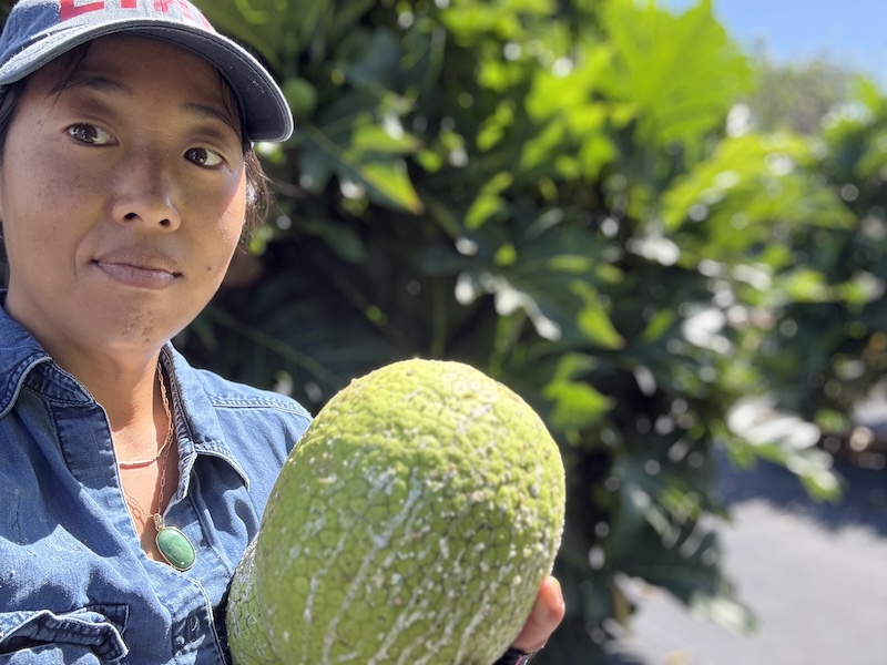 Volunteer Week 2025 - JS 1