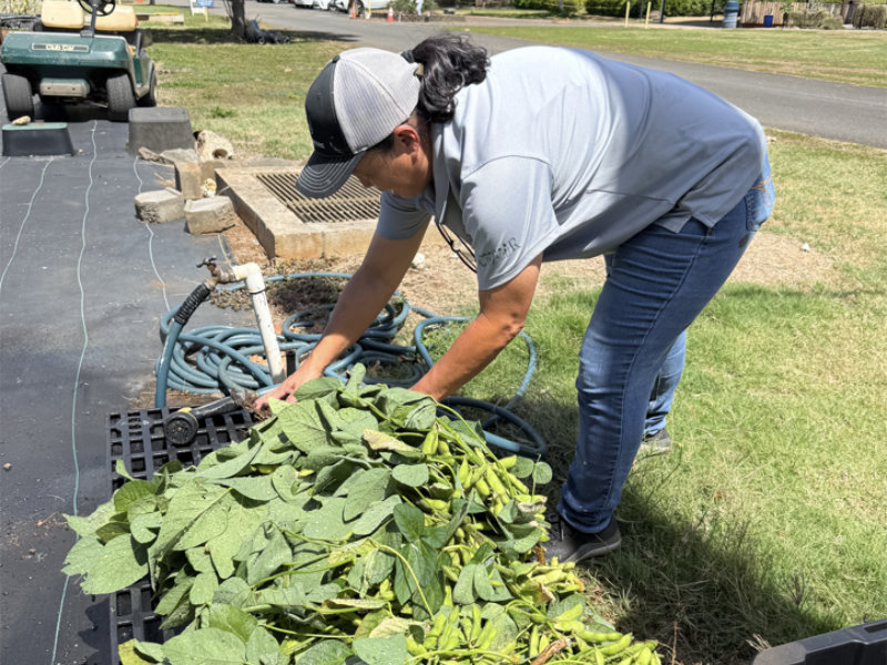 Volunteer Week 2025 - JS 2