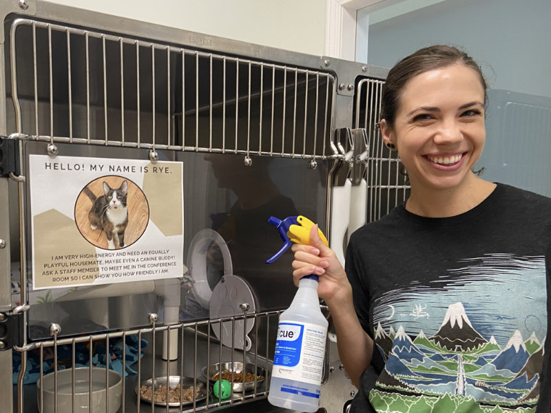 Volunteer Week 2025 - AB2